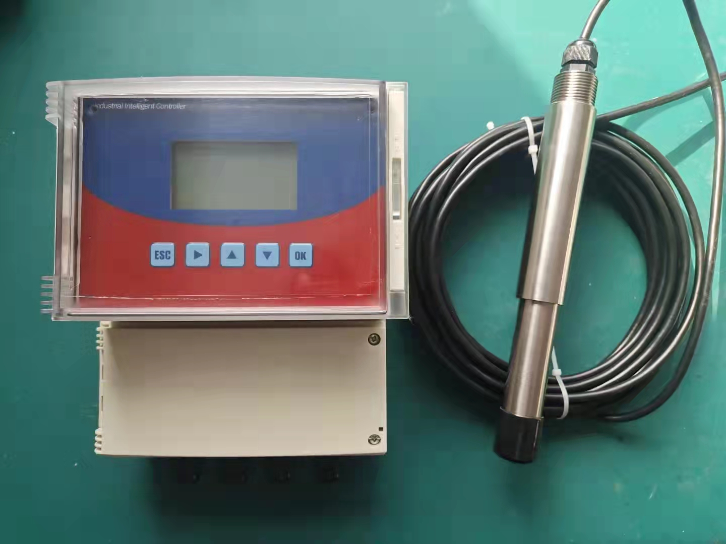 �ھ������x